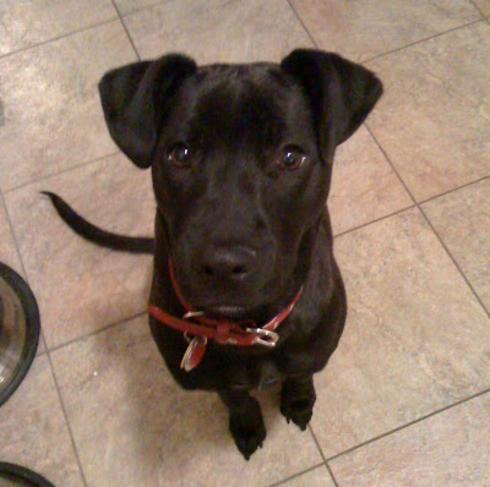 Meet your Posher, Kelli